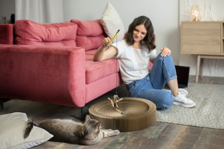 The Benefits of Interactive Play for Your Cat