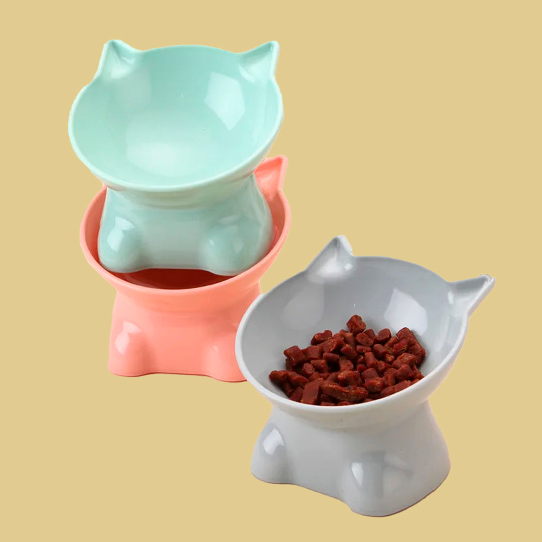 PurrElevate™ Protecting Cervical Vertebrae Cat Bowl