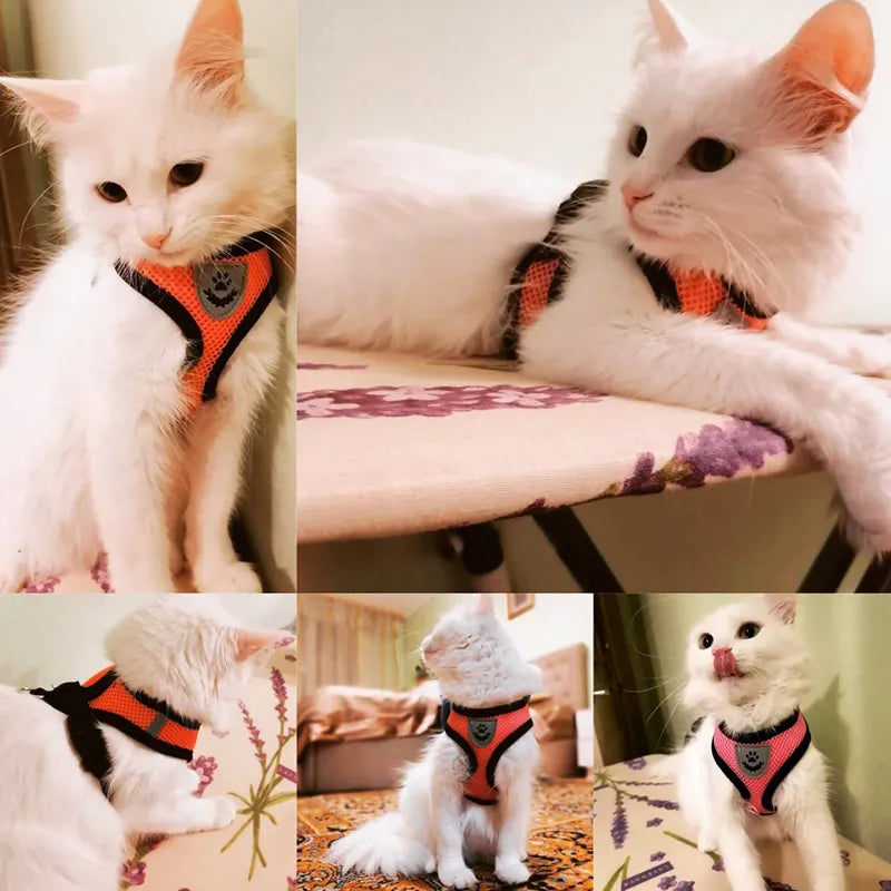 CatRoam™ Walking Harness Vest